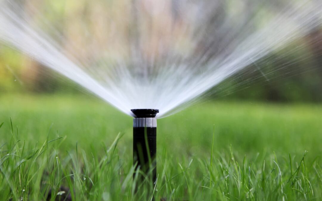 <p><strong>Irrigation Systems</strong></p>